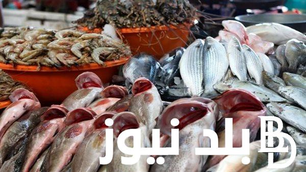 اسعار السمك اليوم الثلاثاء الموافق 24 سبتمبر 2024 فى الأسواق المصرية وسوق العبور للمستهلكين