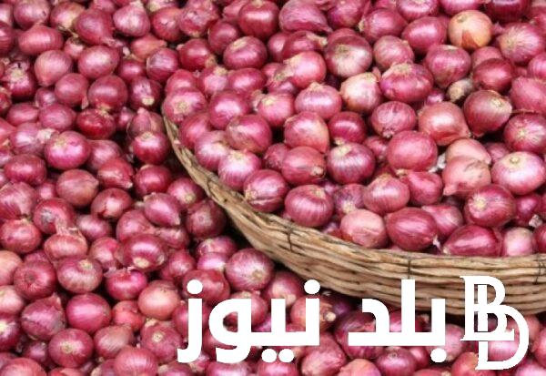 “احمر واصفر ” سعر البصل اليوم الاثنين 2 سبتمبر 2024 في سوق العبور لجميع المستهلكين في مصر
