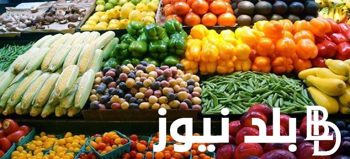 إليكم.. جدول أسعار الخضار اليوم الأحد الموافق 1 سبتمبر 2024 للمستهلك في الأسواق المصرية