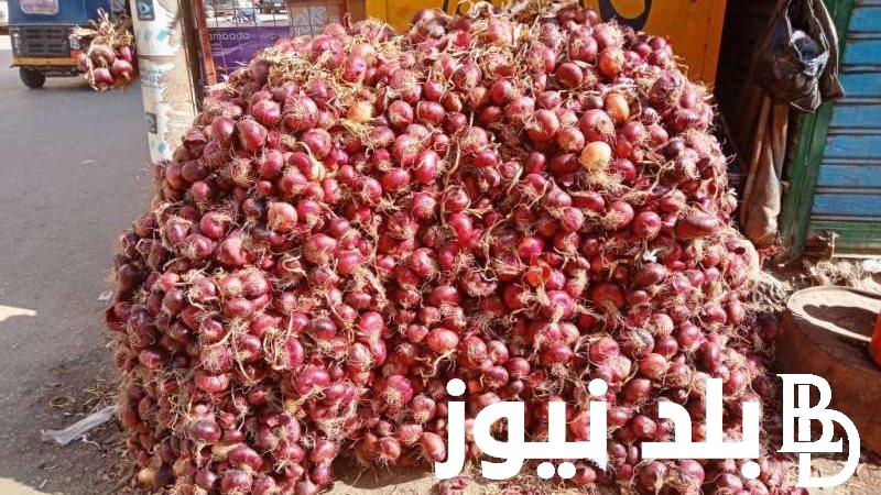 بالكيلو.. سعر البصل اليوم الاحد 1 سبتمبر 2024 في جميع الاسواق المصرية وسوق العبور