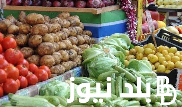 “بطاطس وطماطم وبصل” اسعار الخضار اليوم الاثنين الموافق 2024/9/24 للمستهلك وتجار التجزئة في سوق العبور