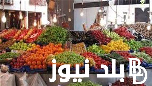 اسعار الخضار والفاكهة اليوم في سوق العبور الخميس الموافق 12 سبتمبر 2024 للمستهلكين والأسواق المحلية