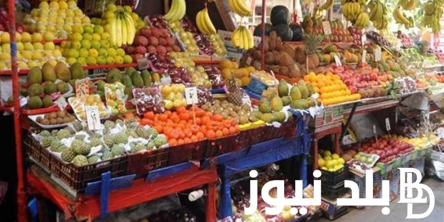 تعرف على أسعار الفاكهة في سوق العبور اليوم الاربعاء 11 سبتمبر 2024 للمستهلك