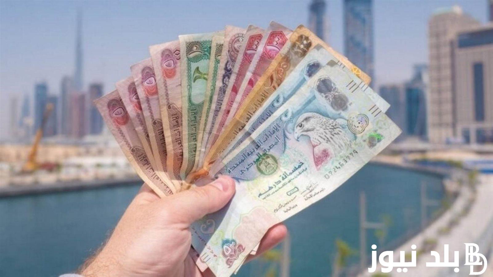 “يلا علي دبي” سعر الدرهم الاماراتي في السوق السوداء اليوم الثلاثاء 3 سبتمبر 2024 وكافة البنوك المصرية