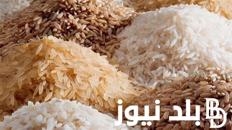 “جميع الانواع” سعر طن الأرز الشعير اليوم الثلاثاء 3 سبتمبر 2024 في جميع الاسواق المحلية للمستهلك في مصر