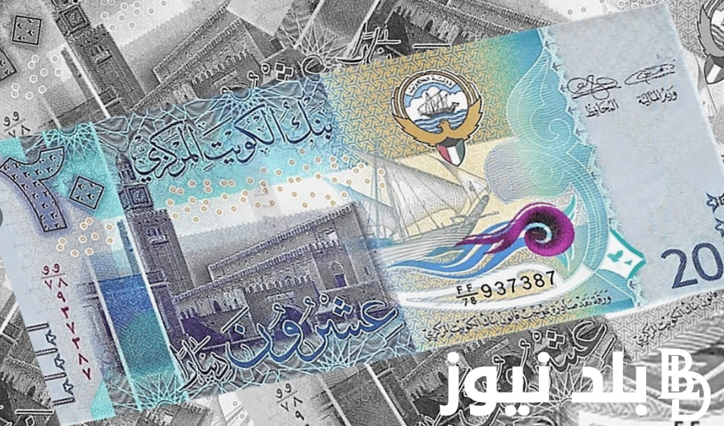 100دينار كويتي كم جنيه مصري؟.. سعر الدينار الكويتي مقابل الجنيه المصري اليوم في السوق غير الرسمية و البنوك الخميس 5 سبتمبر 2024
