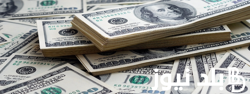 ماهي توقعات سعر الدولار 2024؟.. سعر الدولار اليوم مقابل الجنيه المصري السبت 7 سبتمبر 2024