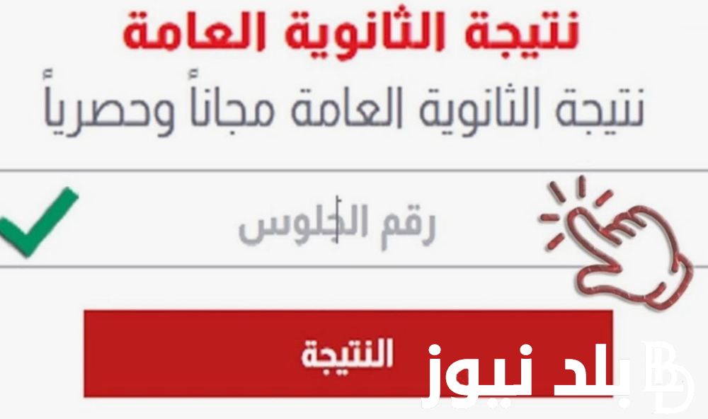 “رابط مباشر”.. نتيجة الثانوية العامة الدور الثانى 2024 عبر موقع وزراة التربية و التعليم moe.gov.eg