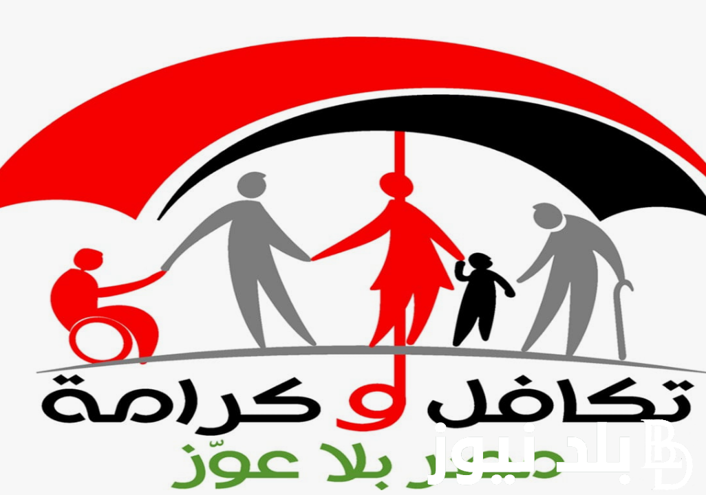 “بالرقم القومي”.. استعلام بالرقم القومي تكافل وكرامة 2024 عبر موقع وزارة التضامن الاجتماعي tk.moss.gov.eg