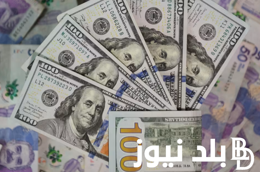 كم سعر الدولار اليوم البنك الأهلي؟.. سعر الدولار اليوم فى البنوك والسوق السوداء الاثنين 9 سبتمبر 2024