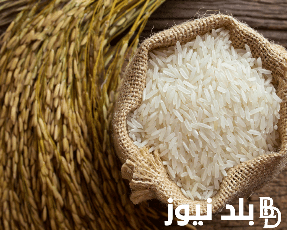 ارتفاع سعر طن الأرز الشعير اليوم الثلاثاء 24 سبتمبر 2024 للمُستهلك في مصر