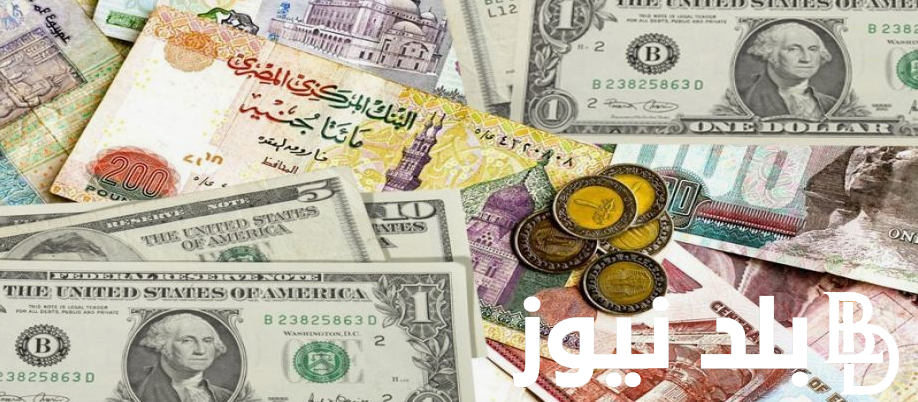“أخر تحديث”.. سعر الدولار اليوم في السوق السوداء في مصر والبنوك الاثنين 2 سبتمبر 2024