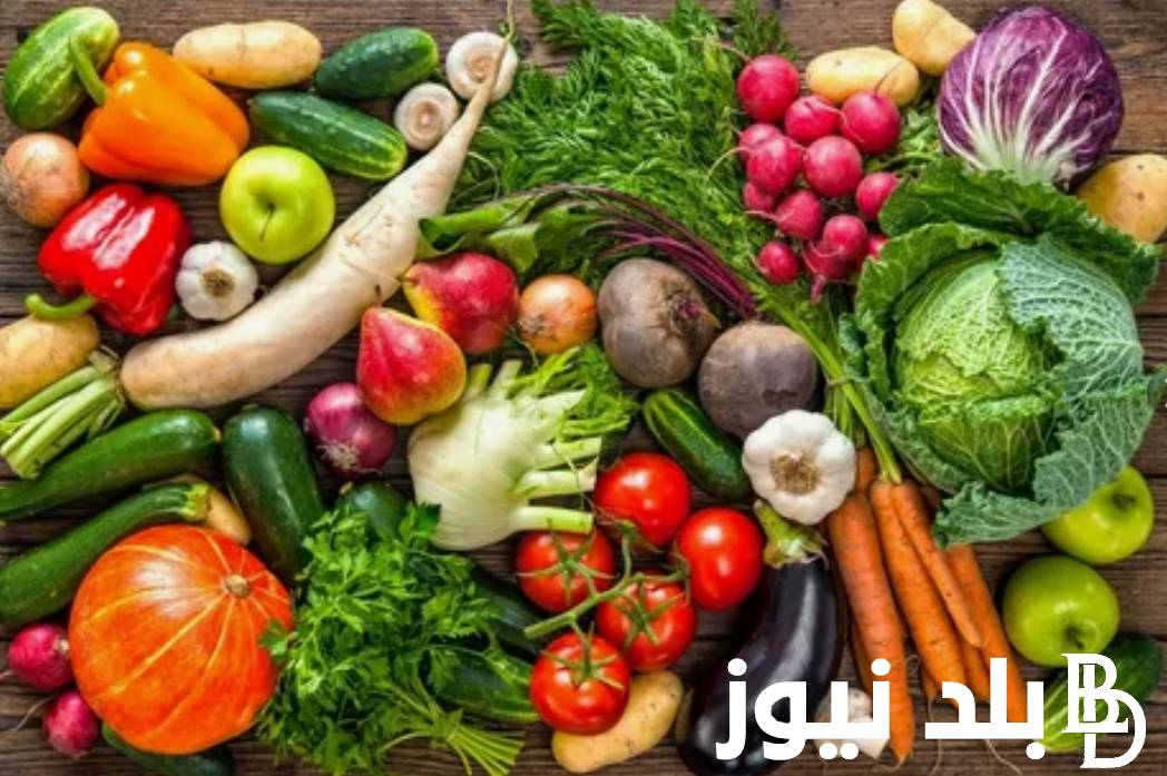 كم سعر كيلو الباذنجان؟.. أسعار الخضروات في سوق العبور اليوم الاثنين 2 سبتمبر 2024 وفقاً لاخر تحديث