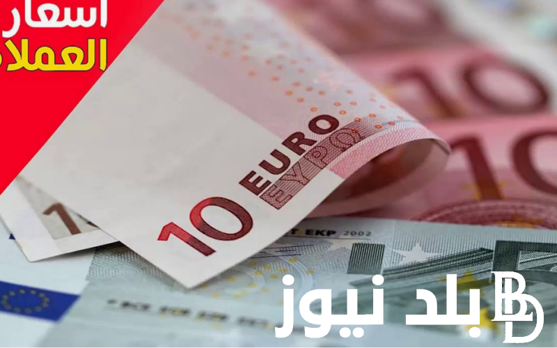 1 يورو كم جنيه مصري في السوق السوداء اليوم الثلاثاء 3 سبتمبر 2024 وكافة البنوك المصرية