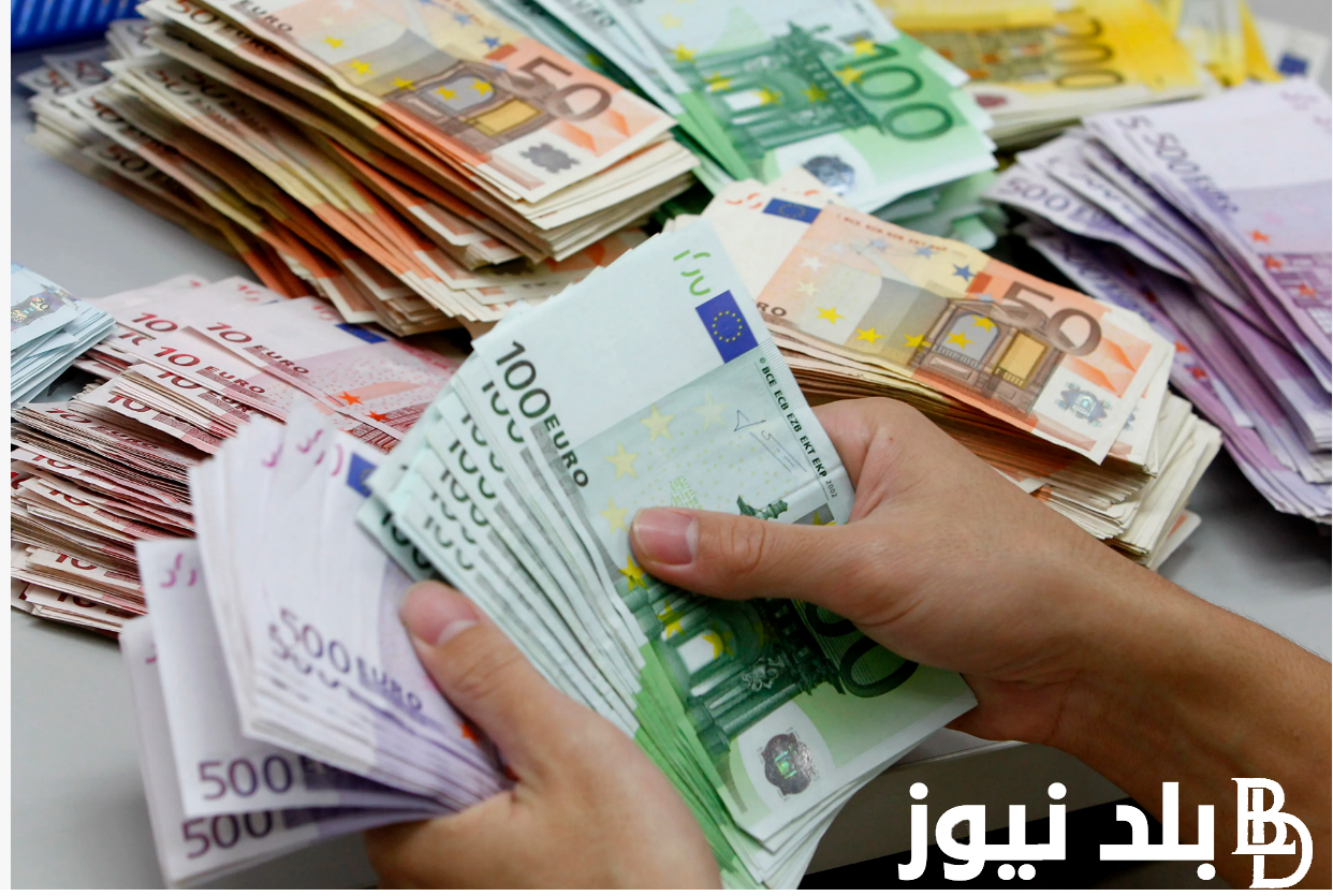 “الأوروبي بكام”.. سعر اليورو اليوم في مصر الاثنين 2 سبتمبر 2024 في البنوك والسوق السوداء