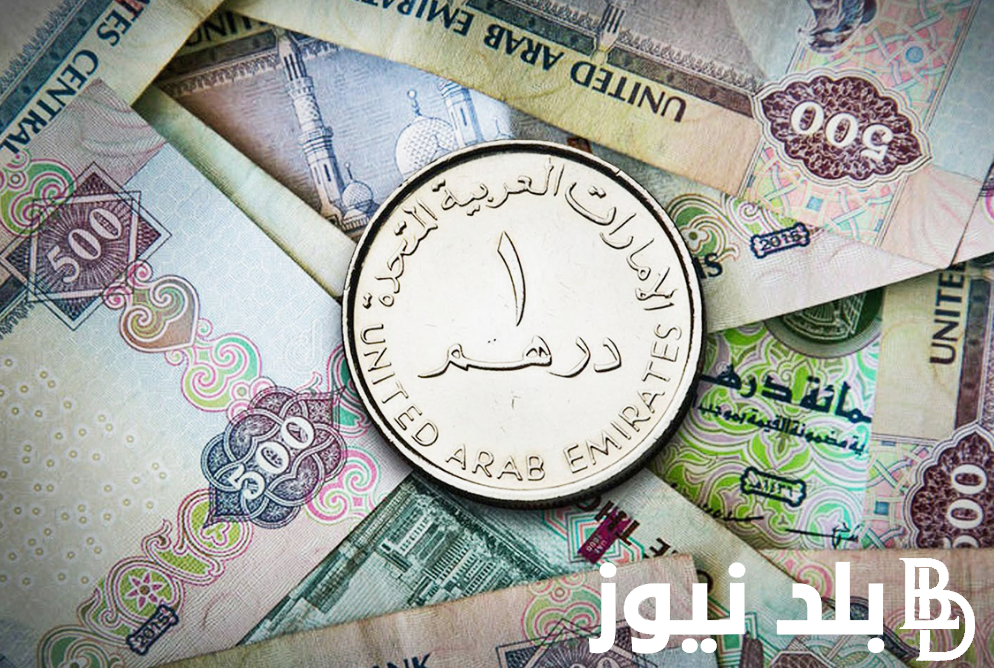 كم سعر الدرهم في السوق السوداء؟.. سعر الدرهم الاماراتي مقابل الجينة المصري اليوم الاثنين 2 سبتمبر 2024