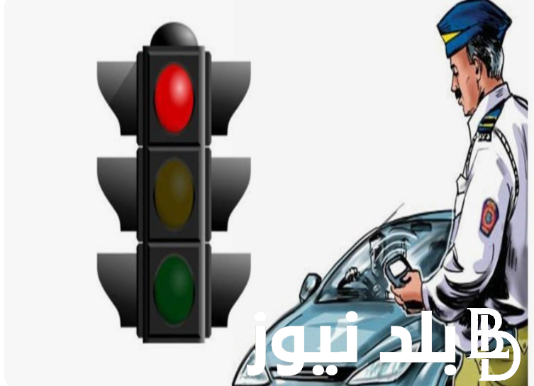 “شوف مخالفتك” الاستعلام عن مخالفات المرور 2024 من خلال موقع النيابة العامة للمرور ppo.gov.eg برقم اللوحة