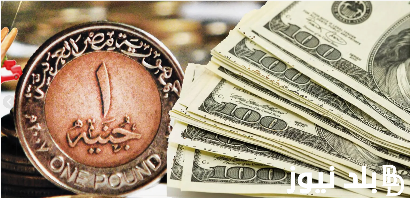 “انخفاض الدولار” اعلى سعر للدولار اليوم في السوق السوداء الثلاثاء 3 سبتمبر 2024 مقابل الجنيه المصري