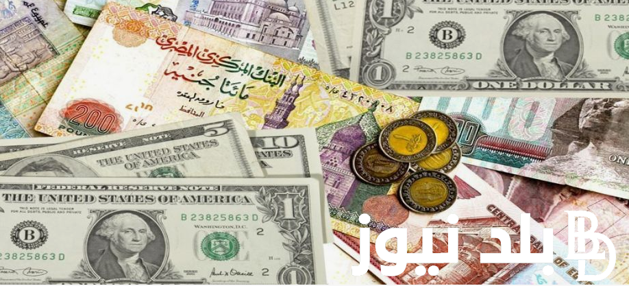“مستمر في التراجع”. سعر الدولار مقابل الجنيه المصري في السوق السوداء والبنك المركزي المصري الثلاثاء 3 سبتمبر 2024