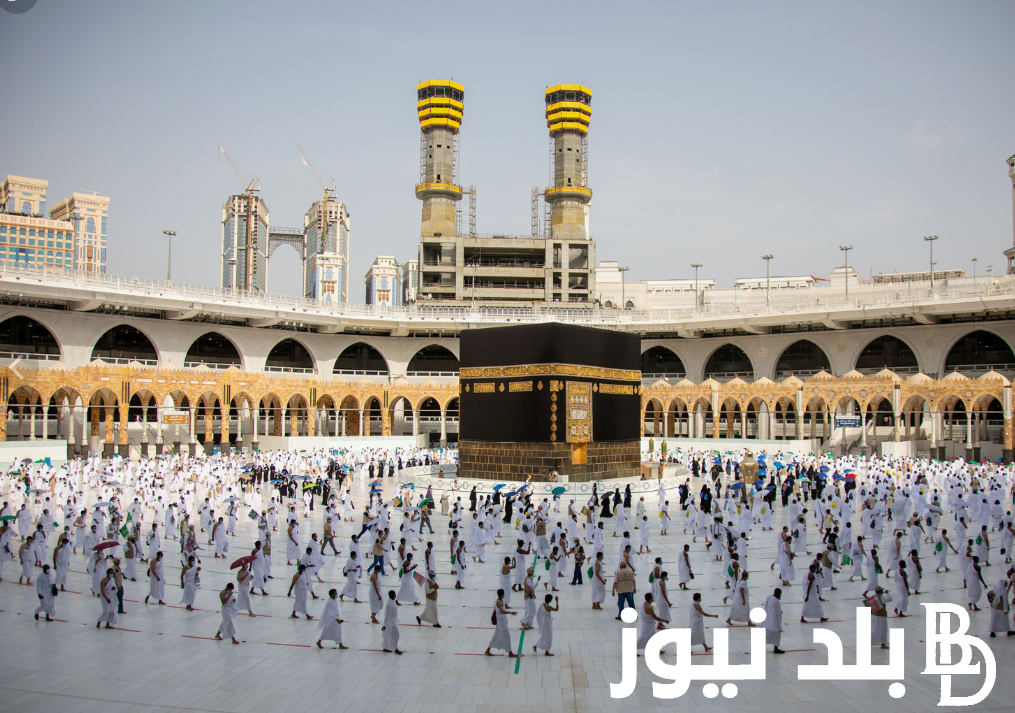 الغرفة السياحية تُناقش: ضوابط العمرة الجديدة 2024 للقضاء على السماسرة وشركات السياحة غير المرخصة