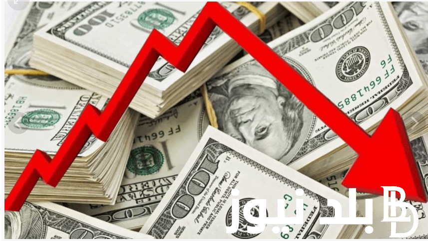 100 دولار امريكي كم جنيه مصري في السوق السوداء؟ تعرف على سعر الدولار الثلاثاء 3 سبتمبر 2024 مقابل الجنيه المصري