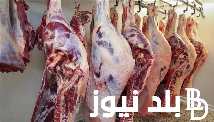 “بلدي وبتلو وضاني” اسعار اللحوم اليوم الخميس 5 سبتمبر 2024 بجميع محلات الجزارة والأسواق والمنافذ البيع الحكومية