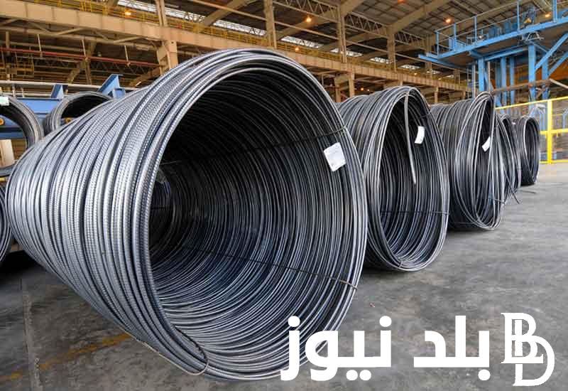 الاسعار للتجار والموزعين.. سعر طن الحديد اليوم حديد عز الاربعاء 4 سبتمبر 2024 في مصر