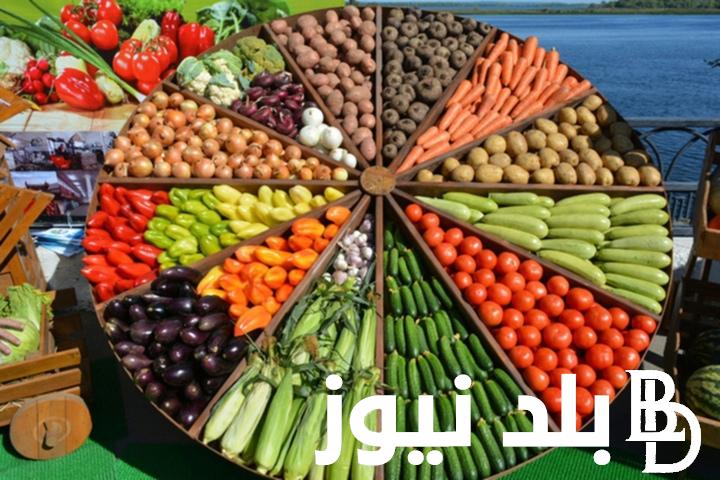 “الكوسة بـ 20ج” اسعار الخضار اليوم الخميس بتاريخ 5 سبتمبر 2024 في مصر بجميع الاسواق التجارية للمستهلك
