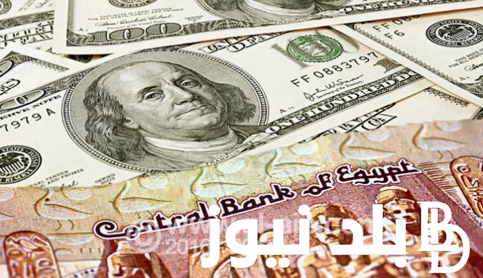 “هدوء في السوق السوداء ” سعر الدولار اليوم البنك الاهلي الخميس الموافق5 سبتمبر 2024 وفي السوق السوداء
