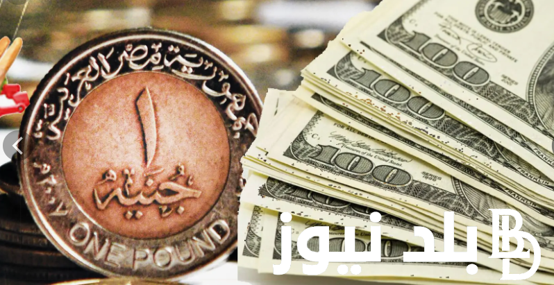 “استقرار الاخضر” سعر الدولار اليوم البنك الاهلي الاربعاء الموافق 4 سبتمبر 2024 وفي السوق السوداء