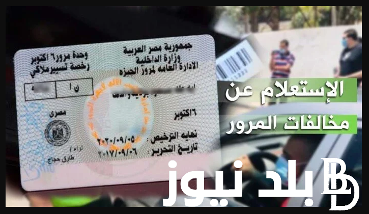 طرق استعلام مخالفات المرور برقم السيارة لعام 2024 بالخطوات.. وزارة الداخلية والنيابة العامة يعلنان