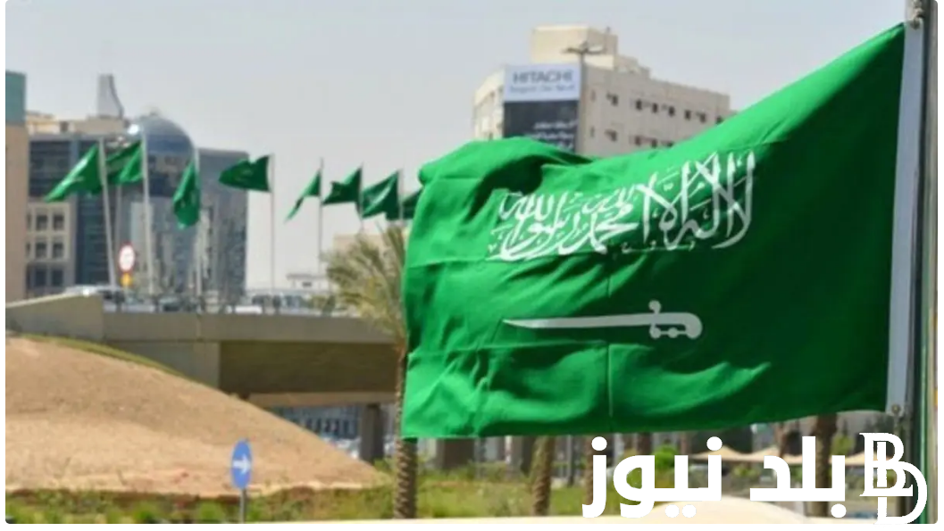 خطوات التقديم في معاملة تجنيس من الديوان الملكي لعام 1446 عبر منصة أبشر absher.sa وأهم شروط وضوابط معاملة التجنيش الملكي