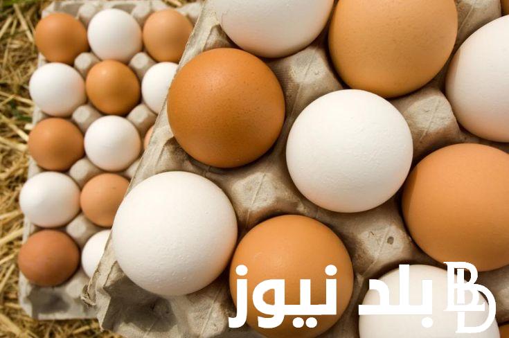 “بلدي وابيض واحمر” سعر كرتونة البيض اليوم الأثنين 2 سبتمبر 2024 في مصر بمزرعة الدواجن والأسواق التجارية للمستهلك