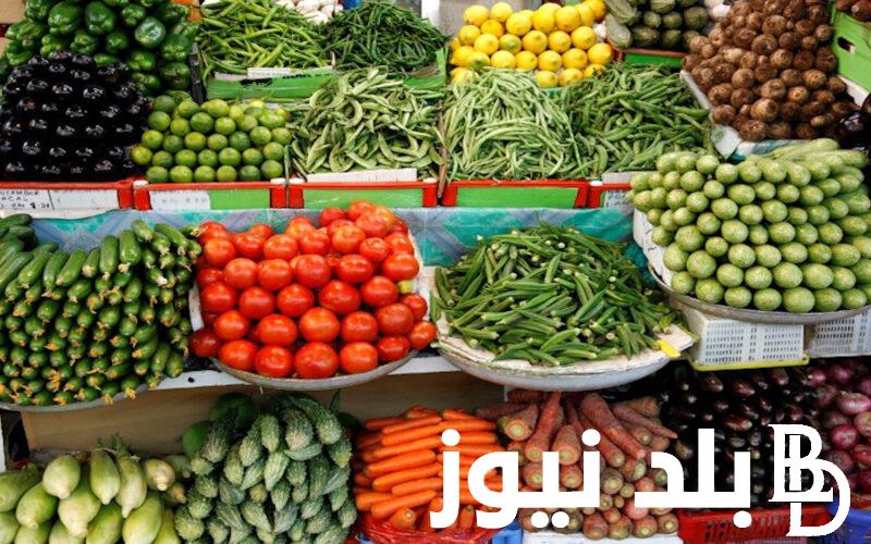 جدول اسعار الخضار اليوم في سوق العبور الاربعاء 4 سبتمبر 2024 للمستهلك في مصر