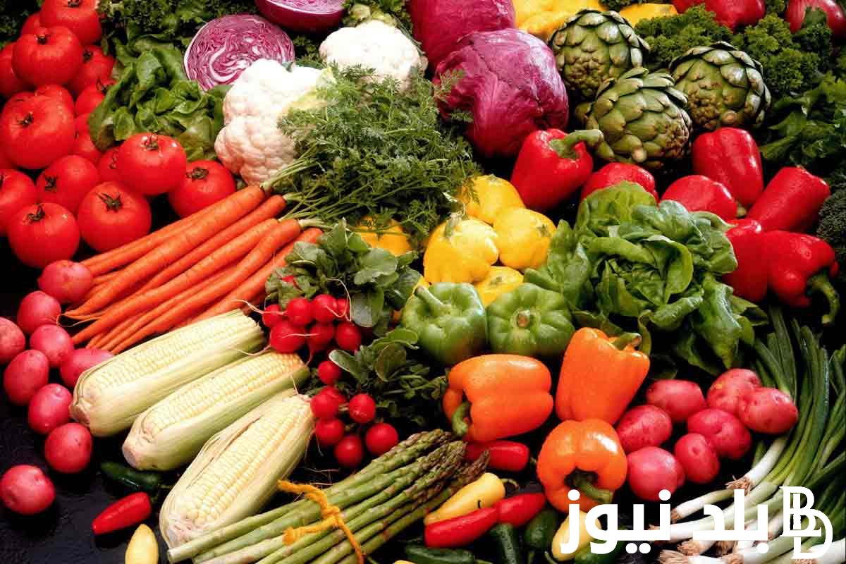 جدول اسعار الخضار اليوم الأربعاء 4 سبتمبر 2024 بالكيلو في جميع الأسواق للمستهلك