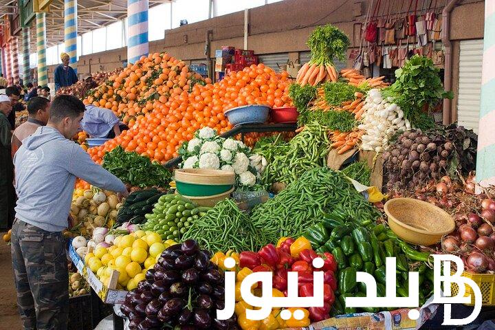 “الكوسة بـ 22ج” اسعار الخضراوات والفاكهة اليوم في سوق العبور الأحد بتاريخ 1 سبتمبر 2024