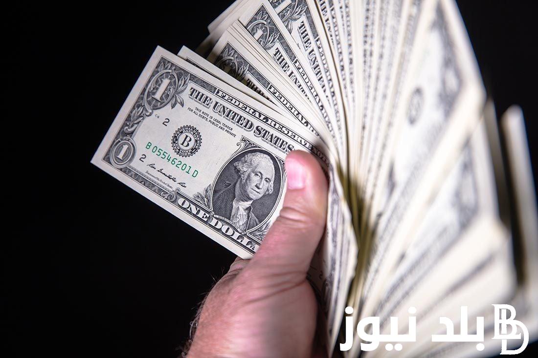 100 دولار إمريكي كم جنيه مصري؟ سعر الدولار اليوم الخميس الموافق 5 سبتمبر 2024 في السوق السوداء وجميع البنوك
