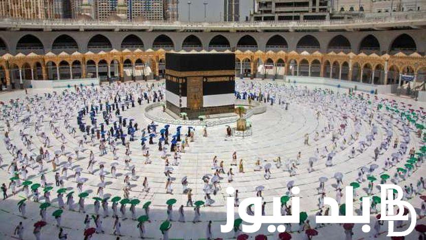أسعار عمرة المولد النبوي 2024 وفقًا لوزارة السياحة وموعد اعلان ضوابط العمرة الجديدة