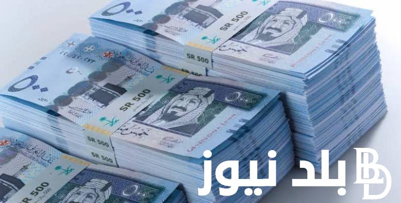 انخفاض سعر الريال السعودي اليوم في البنك الأهلي الاثنين 2 سبتمبر 2024 مقابل الجنيه المصري