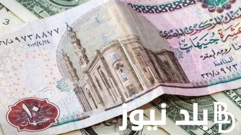 اخر تحديث.. سعر الدولار مقابل الجنيه المصري في البنوك والسوق السوداء الاثنين 2 سبتمبر 2024