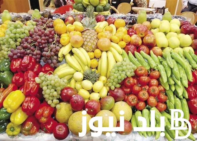 بالكيلو.. أسعار الفاكهة اليوم الثلاثاء الموافق 3 سبتمبر 2024 في سوق العبور للمستهلك في مصر