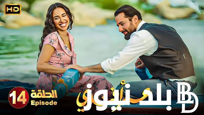 زينات أم ماجي؟ أحداث مسلسل عمر افندي الحلقة 14 وقبل الأخيرة.. ماجي رجعت بالزمن ودخلت السرداب
