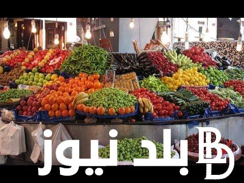ارتفاع كبير .. اسعار الخضار اليوم الاربعاء 11 سبتمبر 2024 واسعار الفواكه داخل سوق العبور
