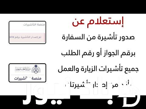 رابط استعلام عن التأشيرة برقم الجواز عبر منصة التأشيرات وما شروط إصدارها 1446؟