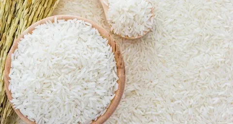 ” ابيض وشعير وبسمتى” سعر طن الأرز الشعير اليوم الاحد الموافق 2024/9/22 للمستهلكين في المحال التجارية