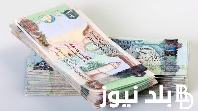 “قبل الاجتماع المركزى” سعر الدرهم الاماراتي مقابل الجنيه المصري اليوم الخميس 5 سبتمبر 2024 فى السوق الموازية والبنك المركزى