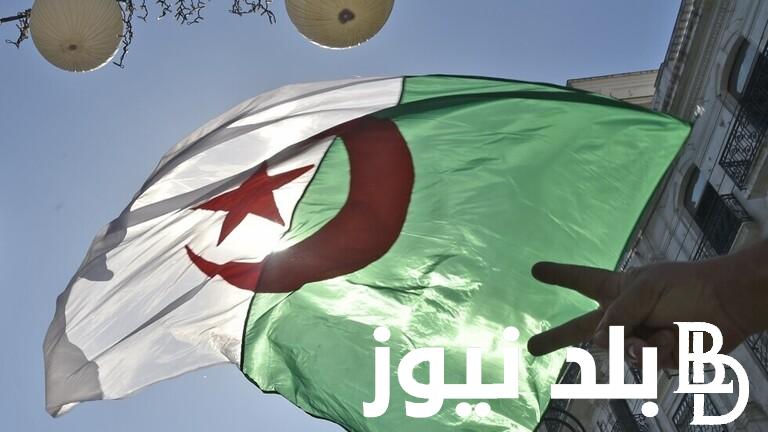 أعرفى شروط التقديم على منحة المرأة الماكثة في البيت وخطوات التسجيل في منحة المرأة الماكثة فى البيت