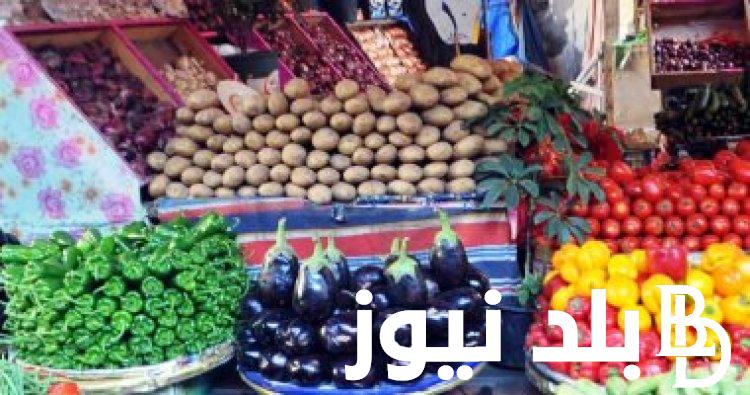 أسعار الخضروات في سوق العبور للمستهلك في مصر اليوم الثلاثاء 3 سبتمبر 2024 | ارتفاع اسعار البطاطس