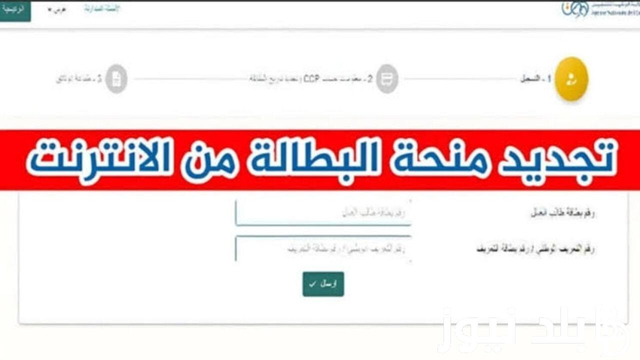 “anem.dz” رابط تجديد منحة البطالة بالجزائر 2024 عبر موقع الوكالة الوطنية للتشغيل الرسمي والاوراق المطلوبة لتجديد منحة البطالة