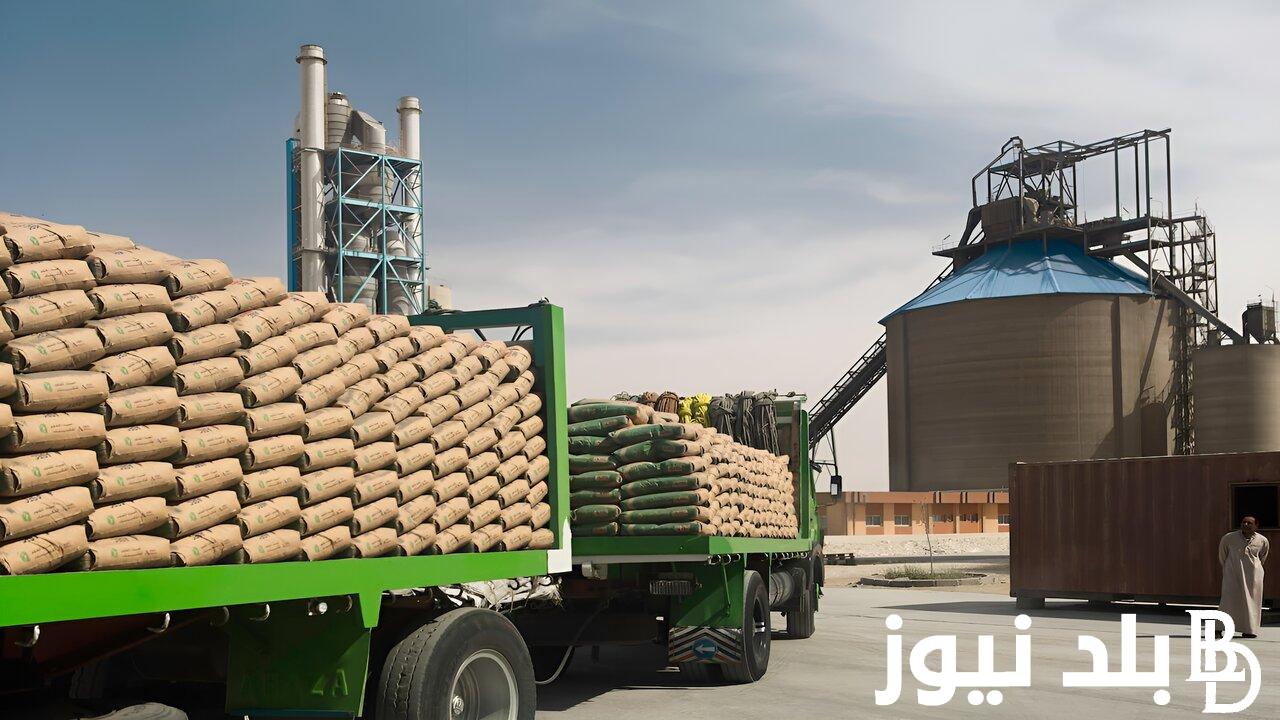 سعر الاسمنت اليوم الأثنين 9 سبتمبر 2024 في جميع المصانع وأسواق البناء المصرية